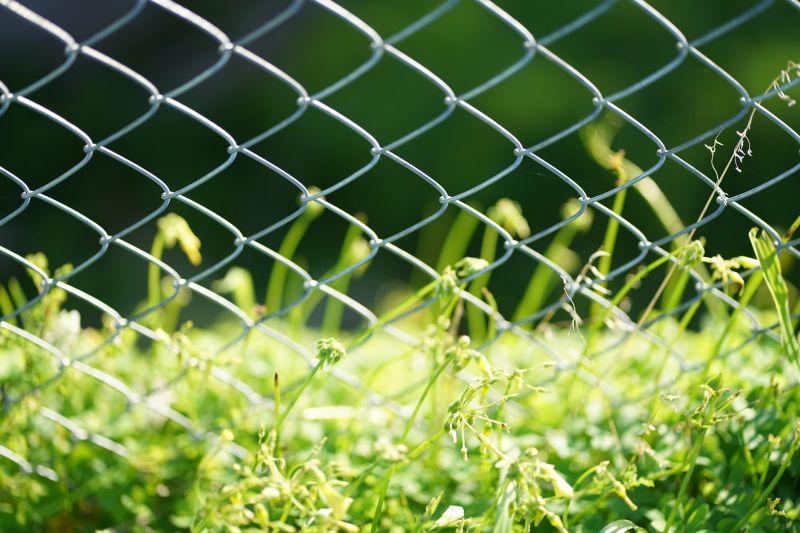 Chain Link Fence Replacement in Sacramento, CA