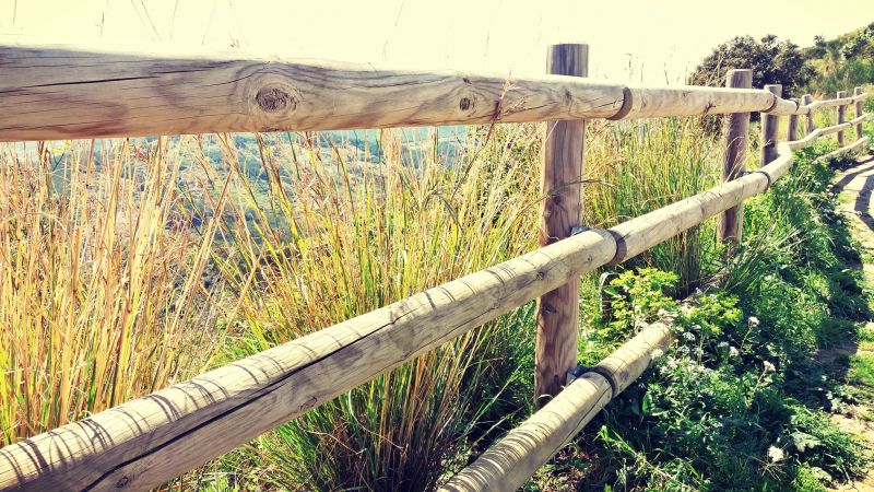 Pine Fence Installation in Roseville, CA
