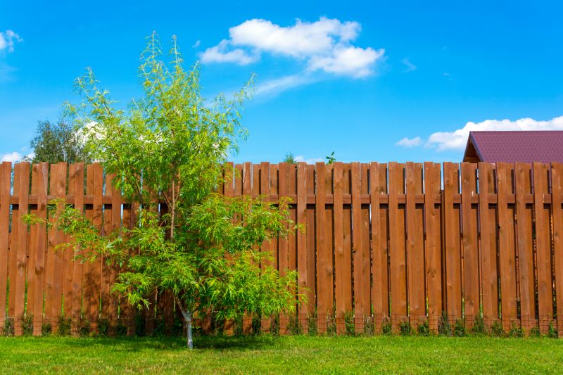 Treated Fence Installation in Pearland, TX